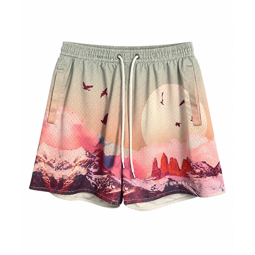 YoungLA Scenic Block Party Mountain Mesh Shorts Men's Medium